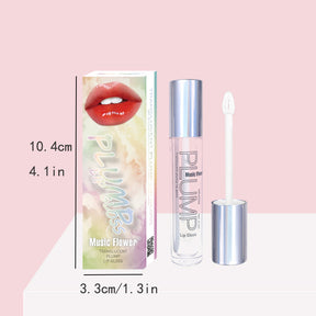 Plump Translucent Lip Gloss